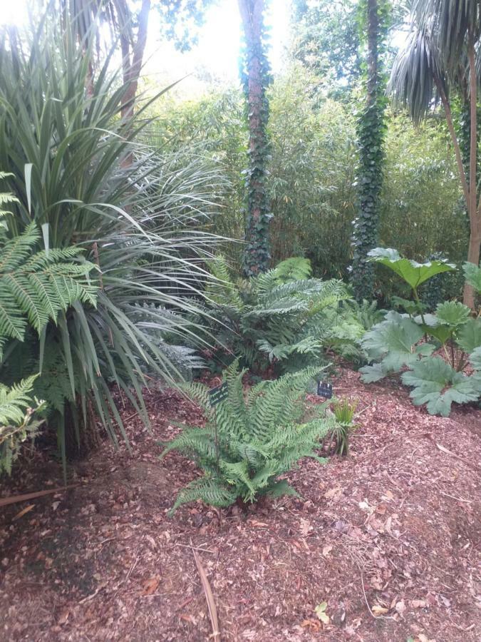 Вілла Un Jardin En Pente Douce Locquenole Екстер'єр фото