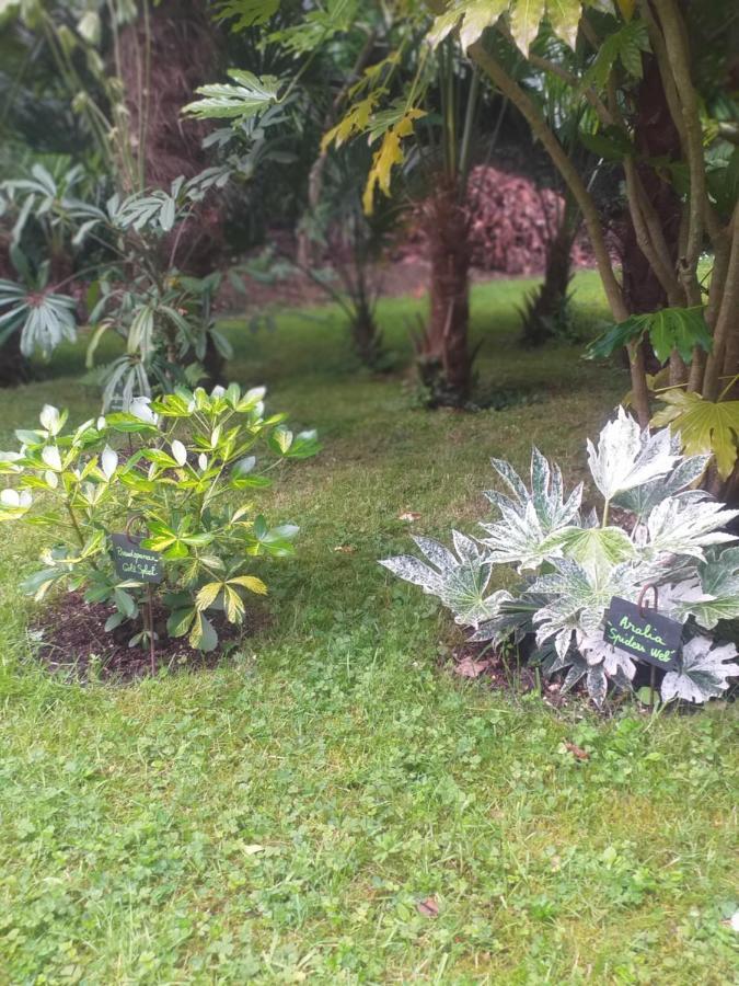 Вілла Un Jardin En Pente Douce Locquenole Екстер'єр фото